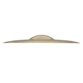 Platillo Zildjian Z Custom de 21 Mega Bell Ride Z40121