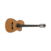 Guitarra electroacústica Ibanez GA-5TCEAM — vista 1