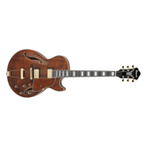 Guitarra eléctrica de 6 cuerdas Ibanez AG95MG-DA — vista principal