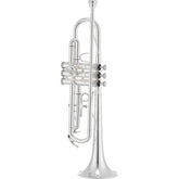 Trompeta Jupiter Jtr-500sq