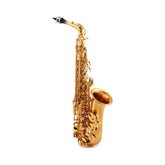 Saxofón alto Victory Triumph Series G2-TAGL con estuche — vista 1