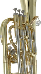Baritono Rb701468 Roy Benson Bh-302