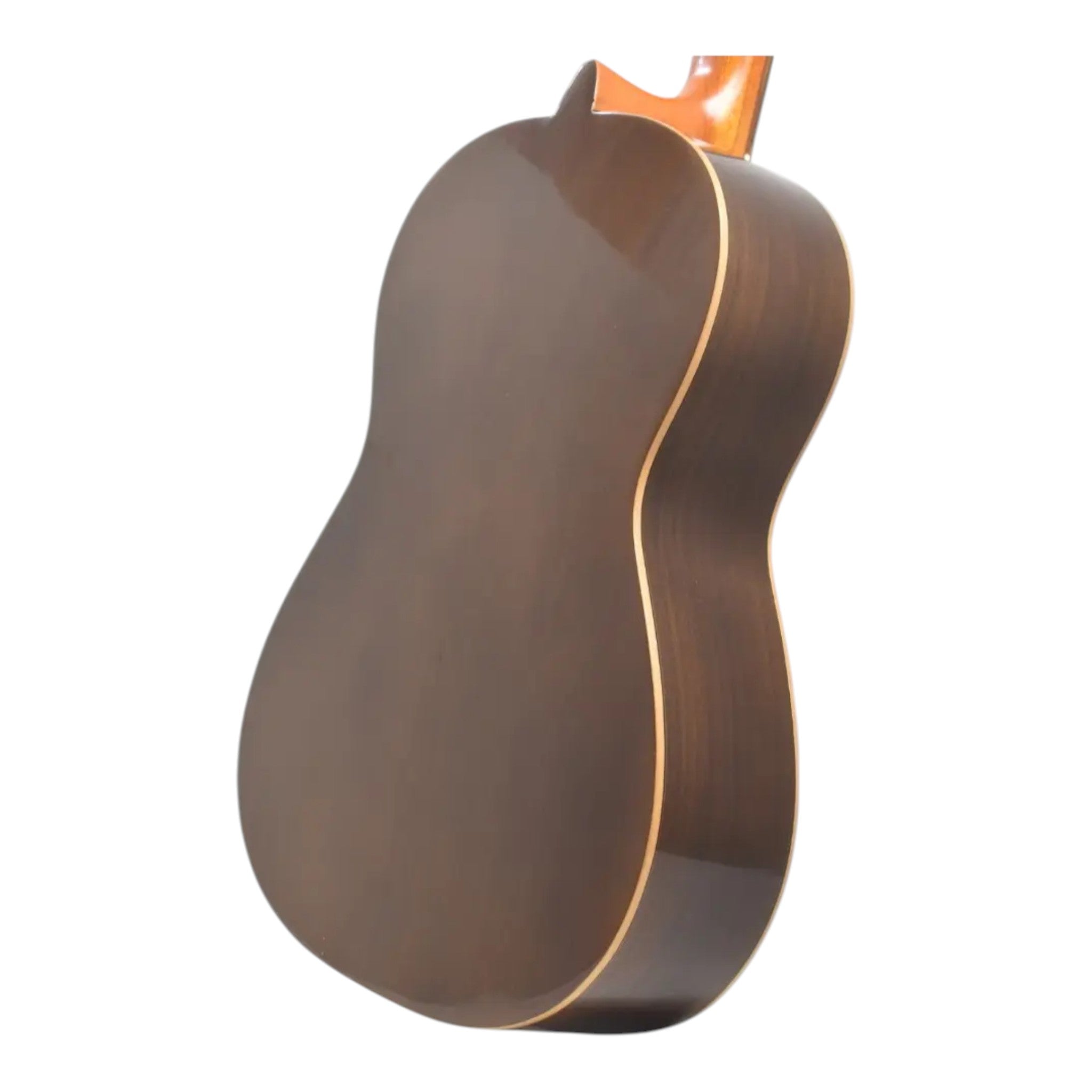 Guitarra Acustica En Pino Americano Cuerdas Nylon + Estuche