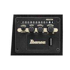 Guitarra Electroacustica Ibanez Tcm50-vbs Cuerdas Metalicas
