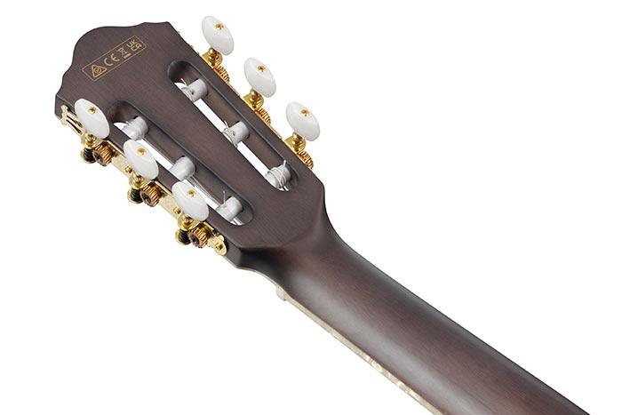 Guitarra Electroacustica Ibanez TOD10N-TKF