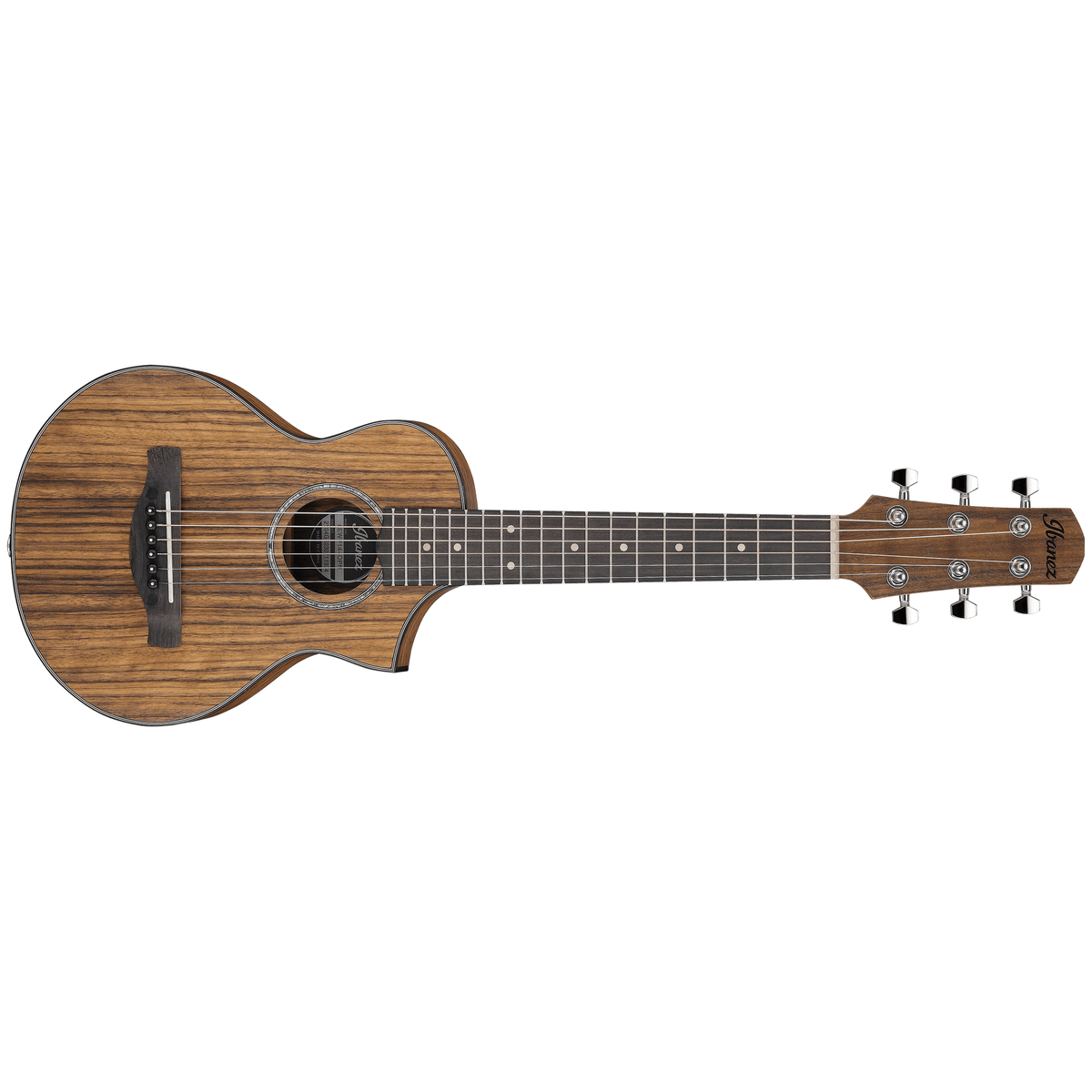 Guitarra acústica de 6 cuerdas Ibanez EWP14WB-OPN — vista 1
