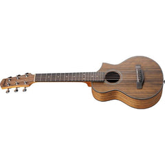 Guitarra acústica de 6 cuerdas Ibanez EWP14WB-OPN — vista 2