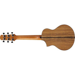 Guitarra acústica de 6 cuerdas Ibanez EWP14WB-OPN — vista 3