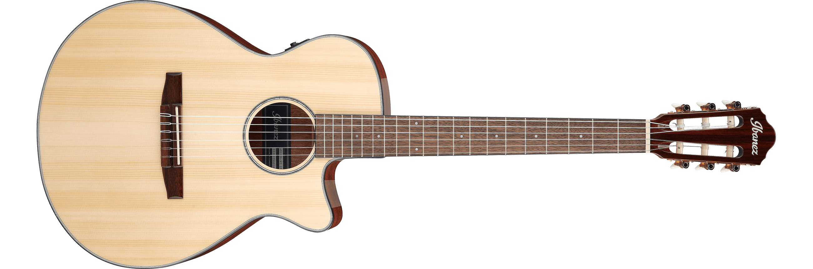 Guitarra Electroacustica Ibanez Aeg50n-nt Nylon