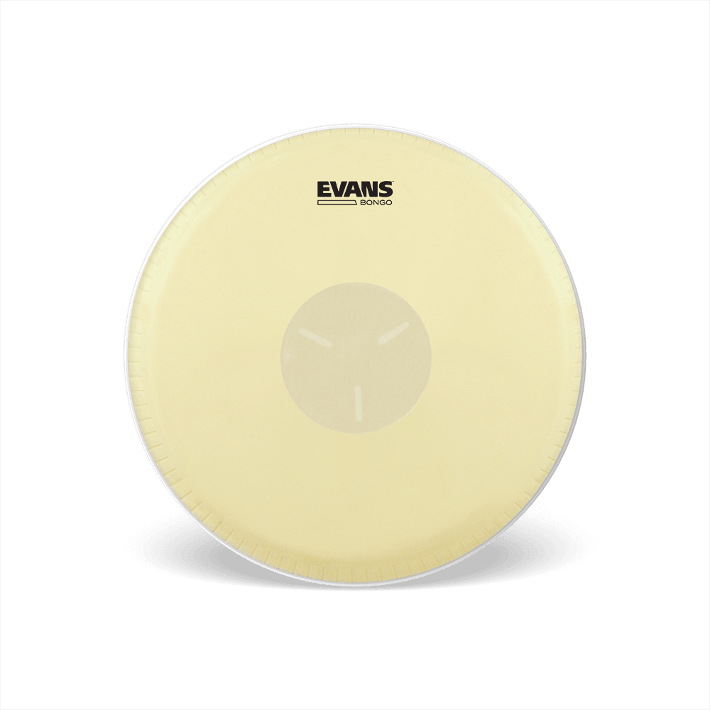 Parche Evans De Bongo Eb07 7