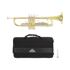 Trompeta Roy Benson TR-202 RB701070 lacada con estuche — vista 1