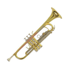 Trompeta Roy Benson TR-202 RB701070 lacada con estuche — vista 2