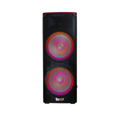 Cabina Activa Doble 15″ 500W RMS Clase AB Pro DJ PP215A-LED - vista 2