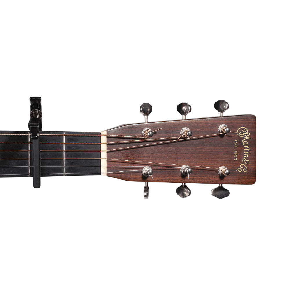 Transportador D Addario Pw-cp-10