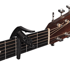 Transportador D Addario Pw-cp-10