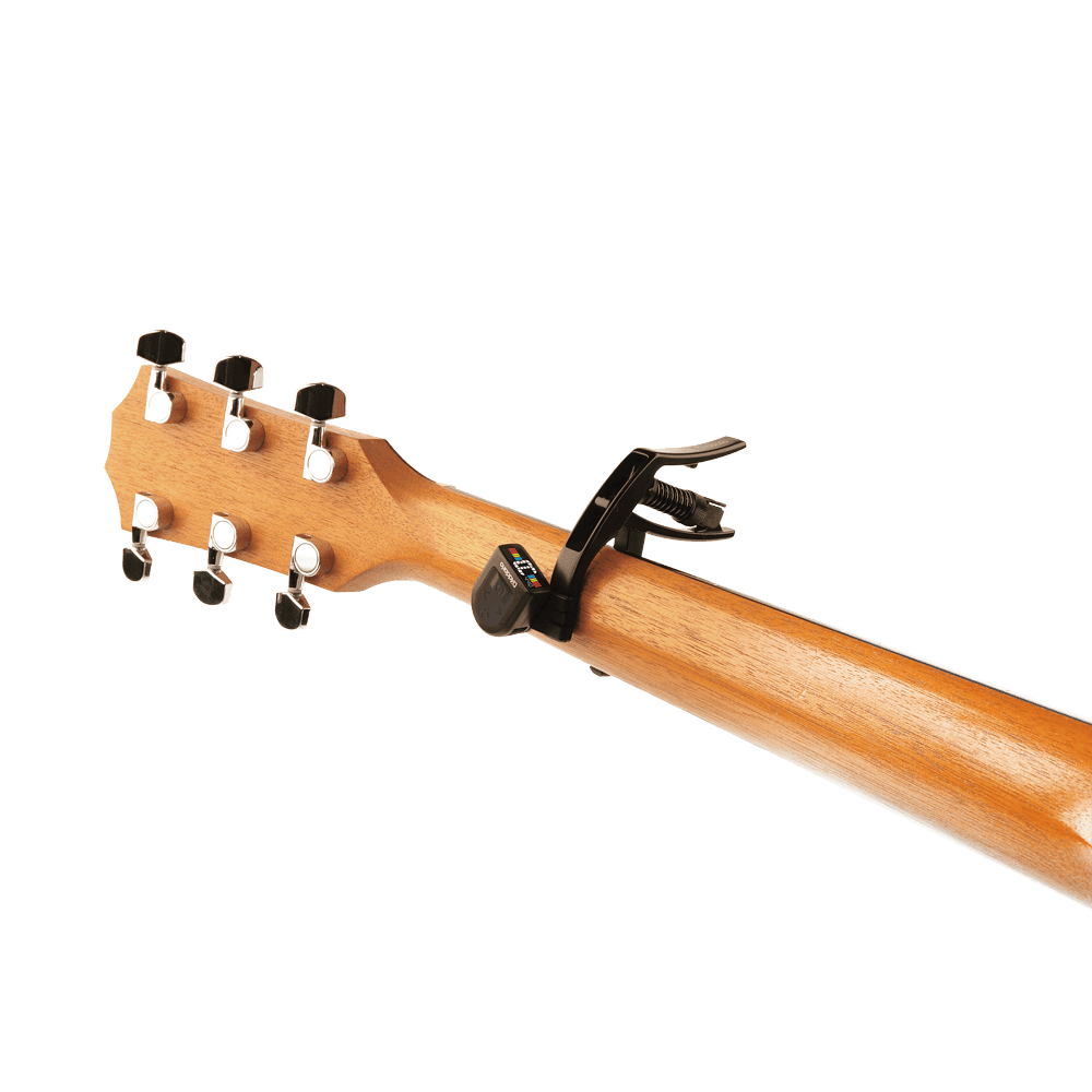 Transportador D Addario Pw-cp-10