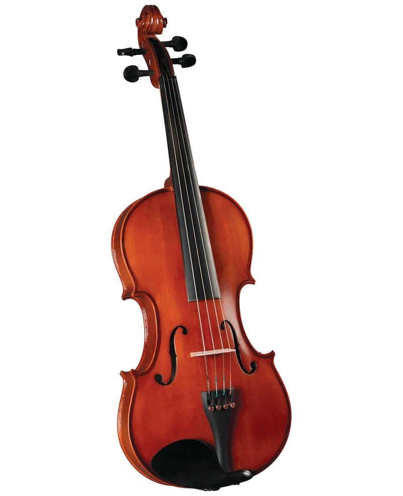 Viola Cervini Hva-100 1/8 12"
